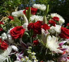 cremation services in Zeeland, MI