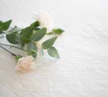 cremation services in Zeeland, MI