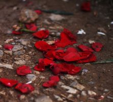 cremation services in Zeeland, MI