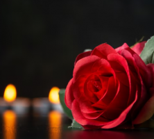 cremation services in Holland, MI