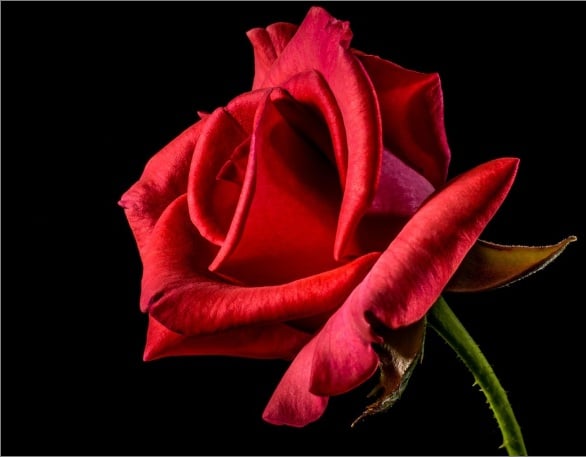funeral homes in Holland, MI