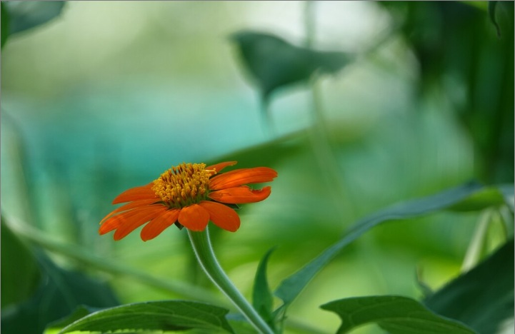 funeral homes in Hamilton, MI