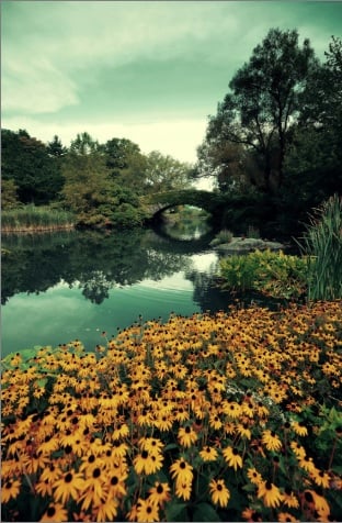 cremation services in Zeeland, MI