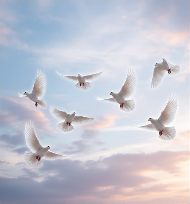 cremation services in Holland, MI