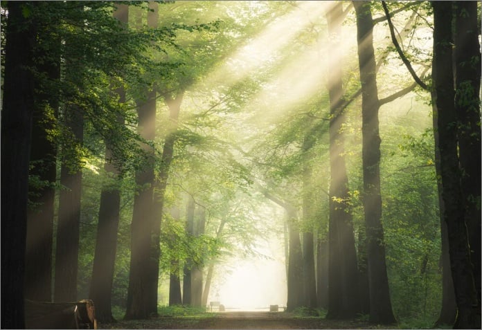 funeral homes in Holland, MI