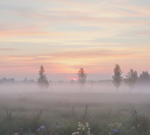 cremation services in Holland, MI