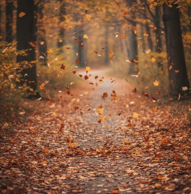 cremation services in Zeeland, MI